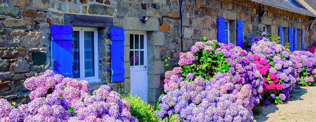 Vacances Bretagne : séjours en villages vacances | Belambra image