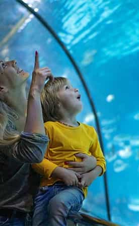enfant émerveillé devant l aquarium dans les bras de maman