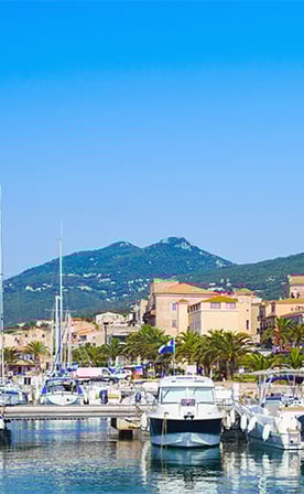 iStock-517194930.jpg