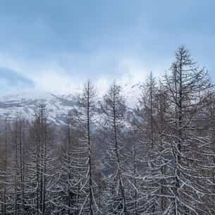 Hiver-Arc1800 23