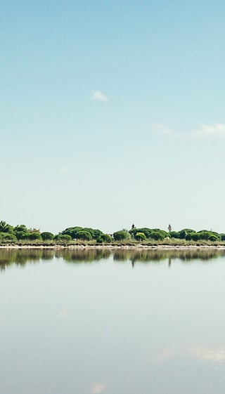 2-iStock-540380958.jpg