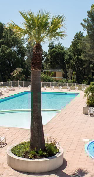 3-GRAC12400_INE16-054.jpg