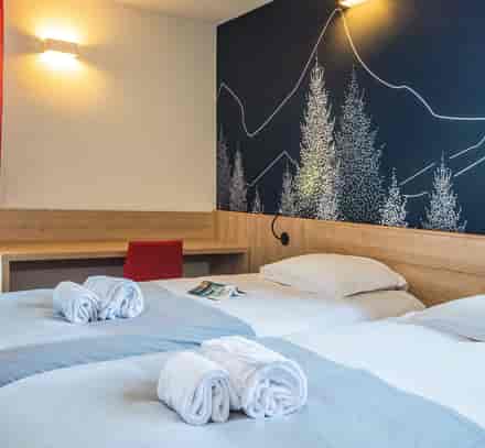 Chambre avec lits jumeaux et vue sur les sapins