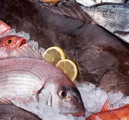 Large choix de poissons frais : saumon, poulpe, rougets, daurades royales, pageots, dorades, truites, crustacés, etc.