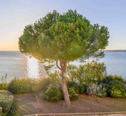 Vue sur l'étang de Thau et les jardins du club Belambra Balaruc-les-Bains « Les Rives de Thau » au coucher du soleil.