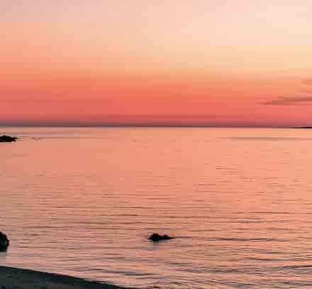 Fin d'été avec un coucher de soleil sur la plage, des palmiers et une ambiance sereine