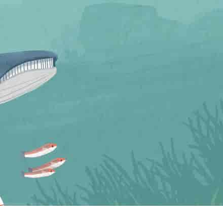 Animaux marins