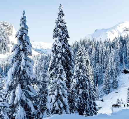 Ski de randonnée à Avoriaz : les plus beaux itinéraires pour explorer la montagne