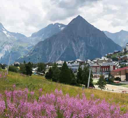 Prairie fleurie au premier plan et panorama des Deux Alpes entouré de sommets.