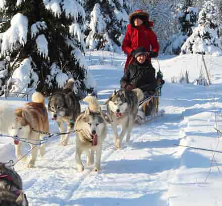 Séjour avec balades en traîneau à chiens