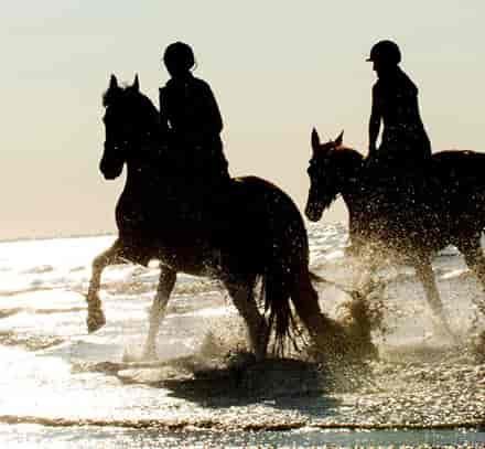 Promenade-Couple-Cheval-Mer.jpg