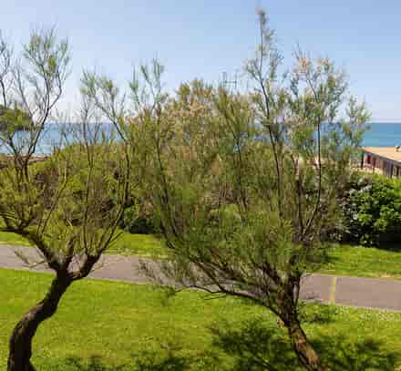 Vue sur les jardins du club Belambra Anglet « La Chambre d'Amour » avec accès direct à la plage et à l'océan Atlantique.