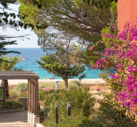 Que faire en Corse ?