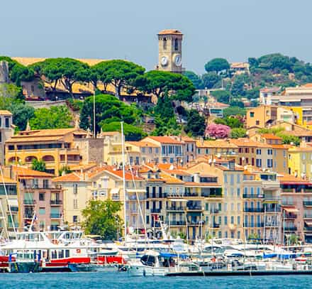 Cannes-493330446.jpg