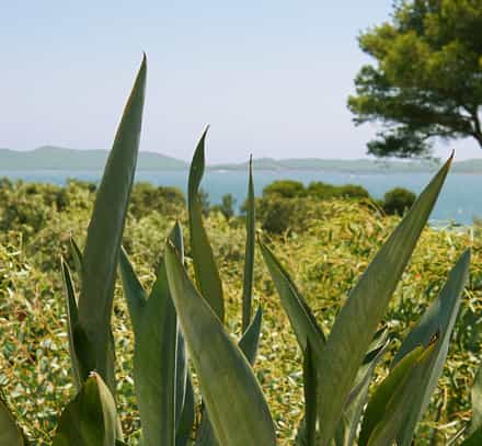 Villages vacances dans le sud