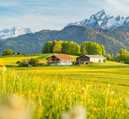 Montagne-ete.jpg