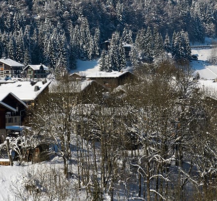 Vacances à Morzine : l'émotion des sommets