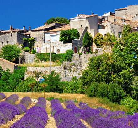 Vaucluse.jpg
