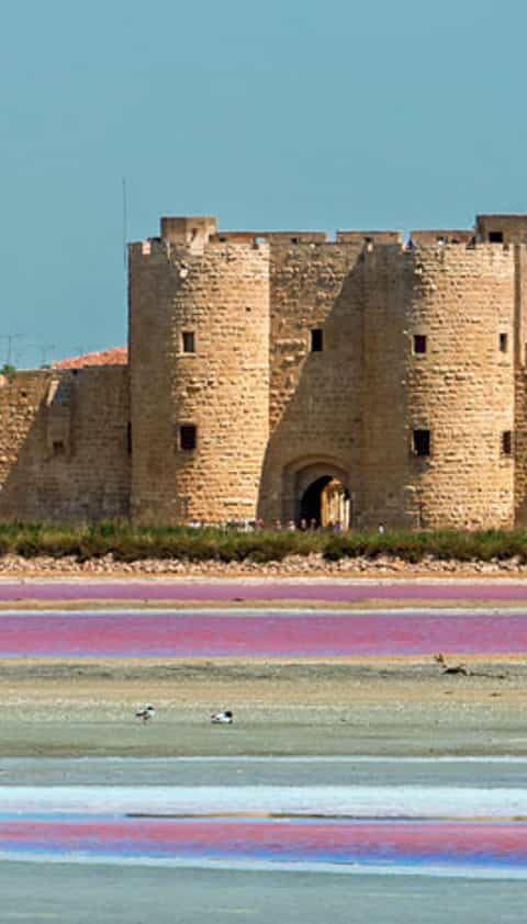 Vue panoramique des remparts médiévaux d’Aigues-Mortes, en Camargue, bordés de salins aux couleurs rose et bleu sous un ciel dégagé