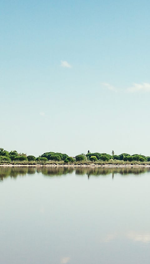 2-iStock-540380958.jpg