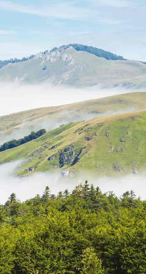 TEMOIGNAGE-GOUR10400_ABA21_036.jpg