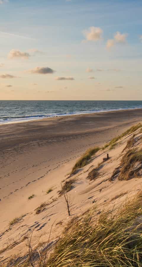 3-iStock-838020834.jpg