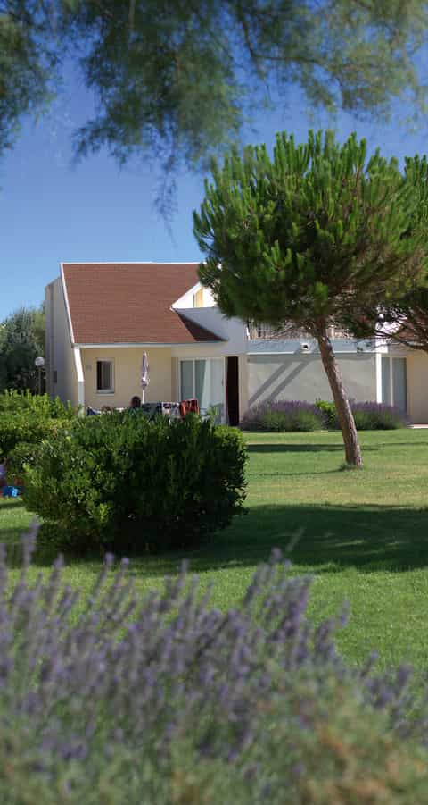 2-GRUI12830_INE12_002.jpg
