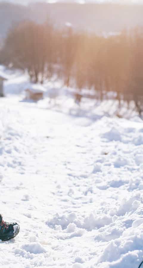 2-iStock-1277041237.jpg