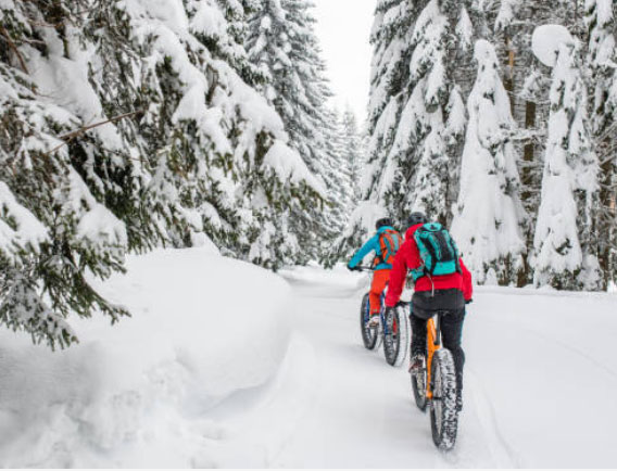 fatbike.jpg