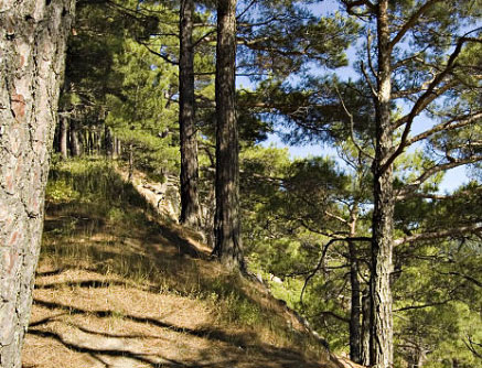 boucanet.jpg