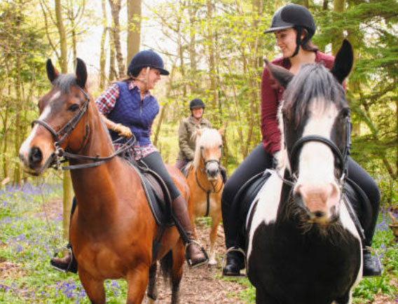 equitation-1.jpg