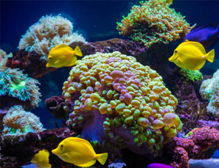 seaquarium.jpg